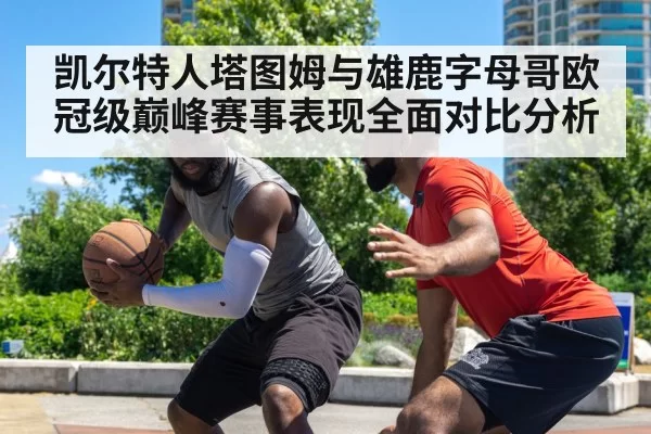 凯尔特人塔图姆与雄鹿字母哥欧冠级巅峰赛事表现全面对比分析