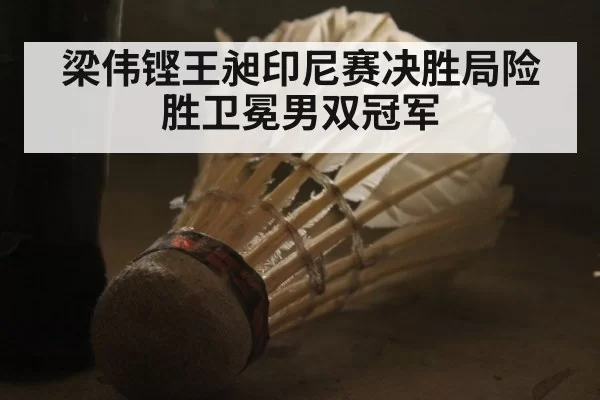 梁伟铿王昶印尼赛决胜局险胜卫冕男双冠军