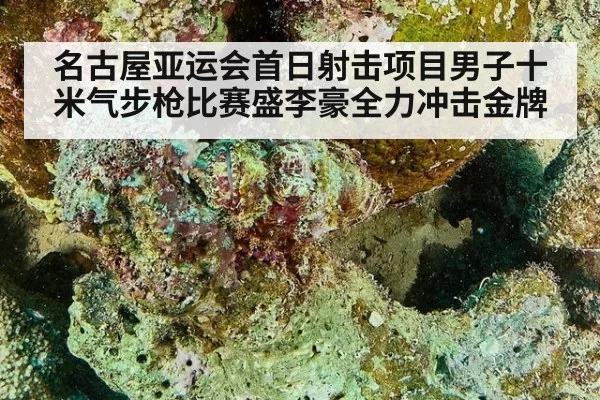 名古屋亚运会首日射击项目男子十米气步枪比赛盛李豪全力冲击金牌